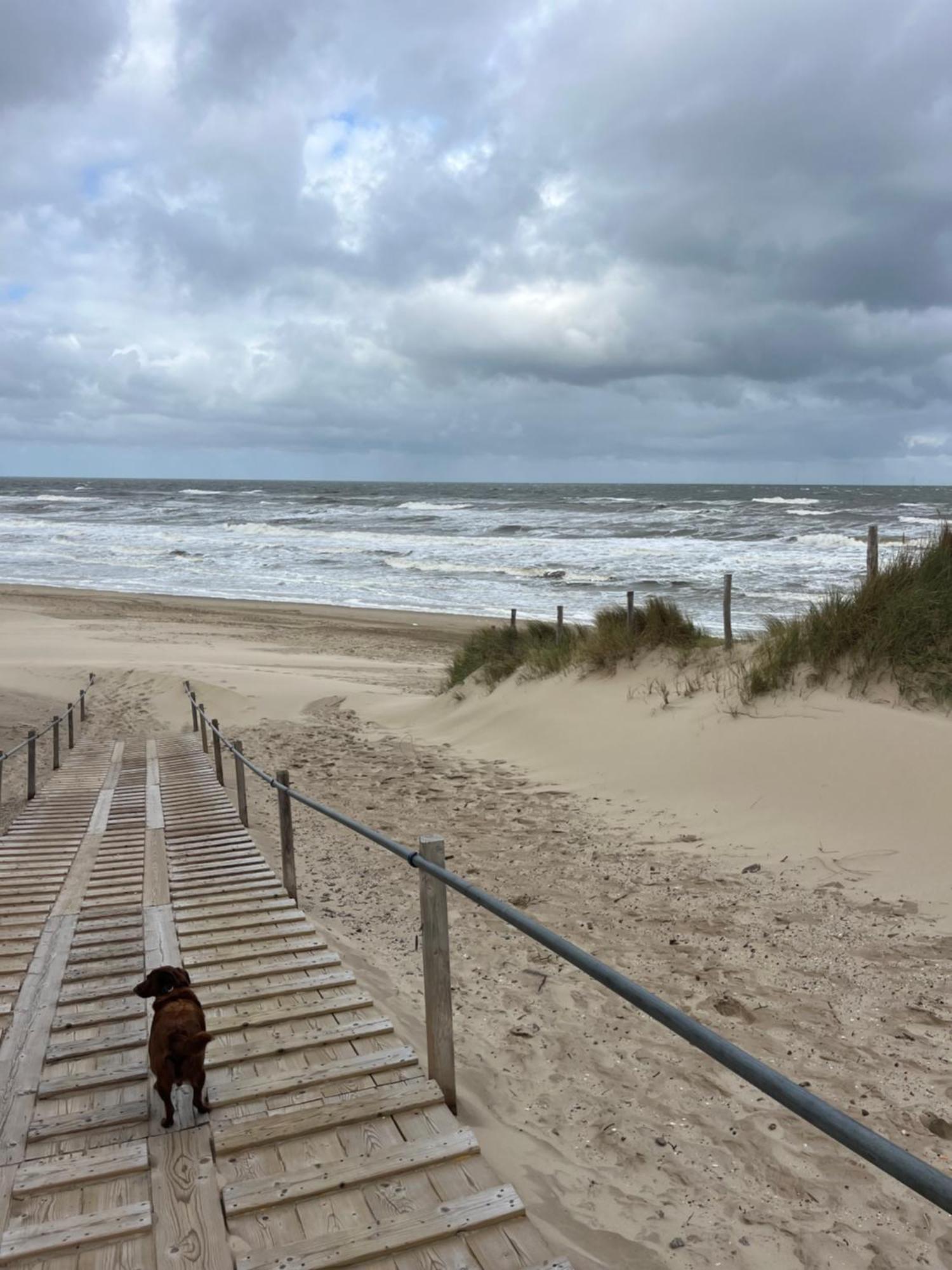 Huize Louwra Villa Egmond-Binnen Exterior photo